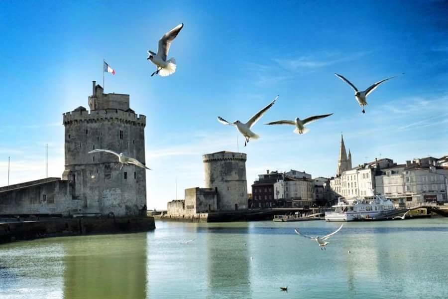Le Clos Des Oiseaux Saintes Εξωτερικό φωτογραφία